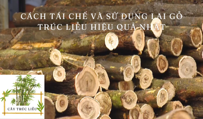 Cách tái chế và sử dụng lại gỗ trúc liễu hiệu quả nhất