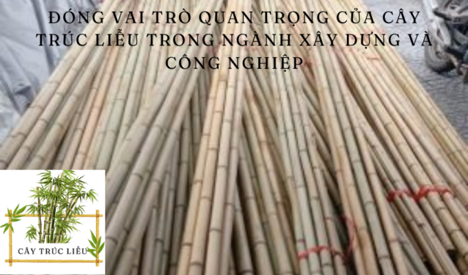 Đóng vai trò quan trọng của cây trúc liễu trong ngành xây dựng và công nghiệp