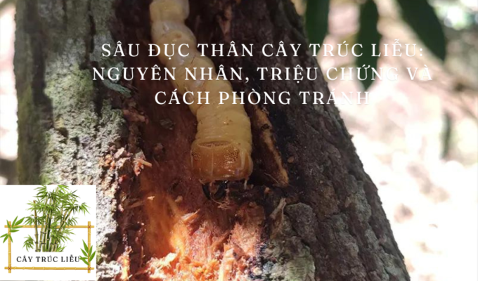 Sâu đục thân cây Trúc Liễu: Nguyên nhân, triệu chứng và cách phòng tránh