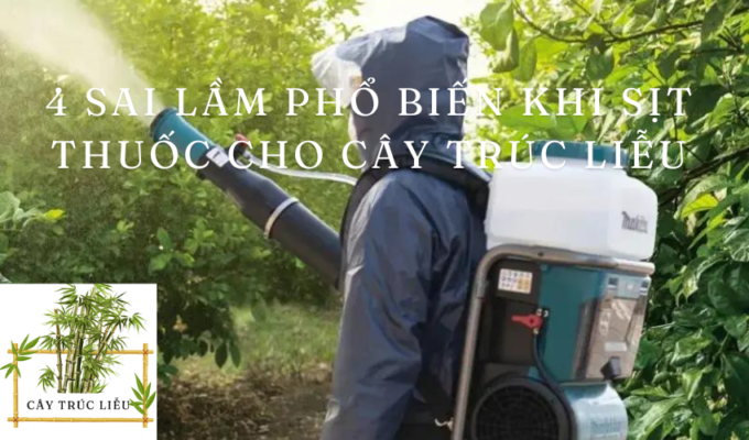 4 sai lầm phổ biến khi sịt thuốc cho cây Trúc Liễu